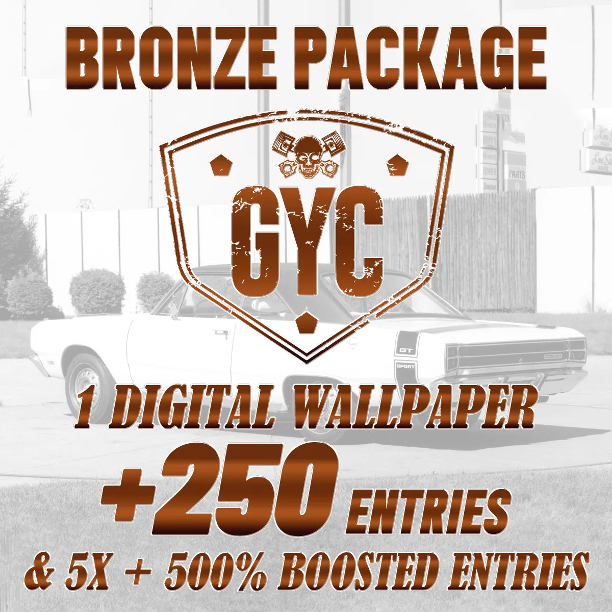 Bronze Package + 500% Bonus Entries